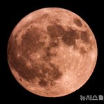 [모두드루와] 어제 뜬 슈퍼문.jpg