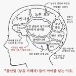 틀딱부터 자식낳는게 <b>불행</b>이라고 본다