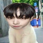 [댓글부탁해] 내 남돌취향 특이 뭐임?