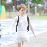 레드벨벳 웬디, ‘바람에 날려가는 강아지 짤’ (웬디의 영스트리트...