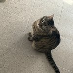 성추행 사건 결말