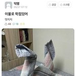 근데 남아선호<b>사상</b> 있는 사람들은 궁금한게