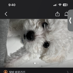 하 <b>이</b><b>알</b>바 너무 하고싶다…