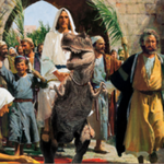 <b>개독</b> 창조론