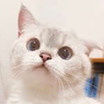 혹시 대학 전문대나 <b>입시</b> 잘 아는사람