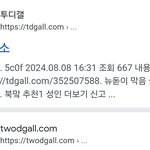 [댓글부탁해] <b>투</b><b>디</b>갤 차이점이 뭐임?