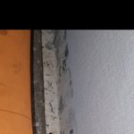 [이것좀봐줘] 월세살이 한달만에 곰팡이가ㅠㅠ.. 계약해지 가능할까요...