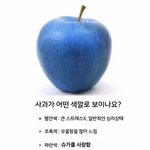 [군대] 지금 <b>심리</b>상태 확인