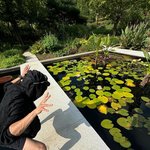 툥프 5주년 및 얼굴황제 태용 군휴가 비주얼 근황