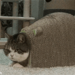 ㅋ