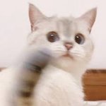 나사실