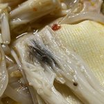 마라탕 먹는데 팽버 검은거 이거 뭐임ㅜ