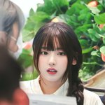 ‘장카설’이 아니라 자연미인 ‘<b>지조</b>’ 가 와야 한다