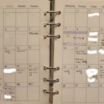 째<b>롱이</b>가 이만~큼 왓다!