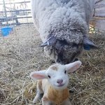 [19] 우리반에 말랐는데 <b>가슴큰애</b> 있단말임