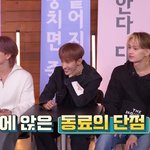 세븐틴한테 서로의 단점을 말하랬더니