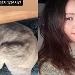 60억 주택 <b>매입</b>’ 이효리, 제주 휴식…“방해받고 싶지 않아”