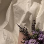 나 금요일에 쌍수+<b>듀얼</b>트임햇는데