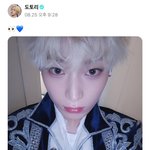 도토리의 위버스