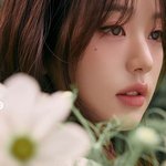 [모두드루와] 장원영, 청초∙신비…압도적 아름다움 [스타샷]