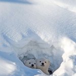 월요일 <b>업무</b> 종료