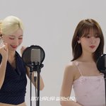 [드루와] <b>미미</b> 스타일링 개에반데