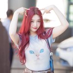 조이, ‘오늘은 앙큼한 고양이’ (<b>동물</b>농장 출근길) [HD포토]