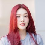 몰린 취재진 보고 깜놀 병아리’ (<b>동물</b>농장 출근길) [HD포토]