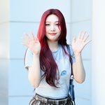 레드벨벳 조이 '꼬부기 출근 <b>완료</b>'[엑's HD포토]
