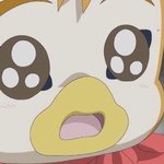 돌팬들 자기 최애 <b>투디</b>에 비비는거