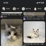 [댓글부탁해] 너네가 이거 닮았다는 얘기 들<b>우면</b>