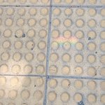 [드루와] 보도<b>블럭</b>에서 무지개 봄