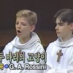 미야오 글 볼 때마다 자꾸 이거 <b>생각남</b>