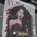 [모두드루와] 생일 앞둔 아이브 장원영, 홍대 거리 수놓았다.....