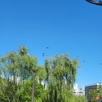 <b>헬리콥터</b> 군단!!