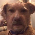 [ㅈㄱㄴ] 수능 준비하는 실수 판녀 있어??