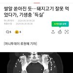 <b>돼지</b>고기 잘못먹었다가 기생충  사건ㄷㄷ