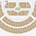 오늘 진짜 꿈같은 꿈을 꿨음