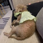 세상에서 가장좋은 <b>베개</b>는요