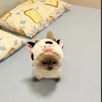 내일이면 알바그만둬서 슬픔 ..