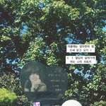 최준희 "아플 땐 엄마한테 힘 받고 오기"…故 최진실 묘소 찾아