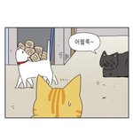 여기애들은 <b>통통</b> 기준을 대체 뭐라고