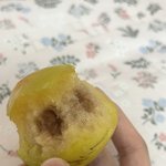 [댓글부탁해] 이거 <b>자두</b> 썩은건가요?