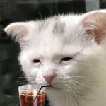 너네 친가랑 <b>외가</b> 어디가 더 좋아?