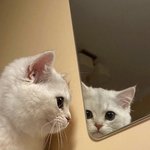 두겸이 목뒤에 귀여운 베<b>터리</b> ㅎ