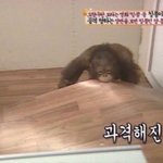 [드루와] 엄마가 나 자퇴얘기한거 <b>쌤</b>한테 <b>말</b>함