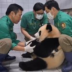 [트레저] ㄹㅇ <b>힐링</b>