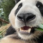 [트레저] <b>보너스</b>로 동태푸