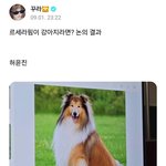 <b>캐해</b> 완벽하다는 '르세라핌이 강아지라면?'
