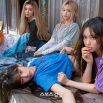 [단독] 뉴진스 팬덤, 하이브-디스패치 기자 고발
